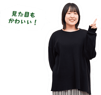 見た目もかわいい!